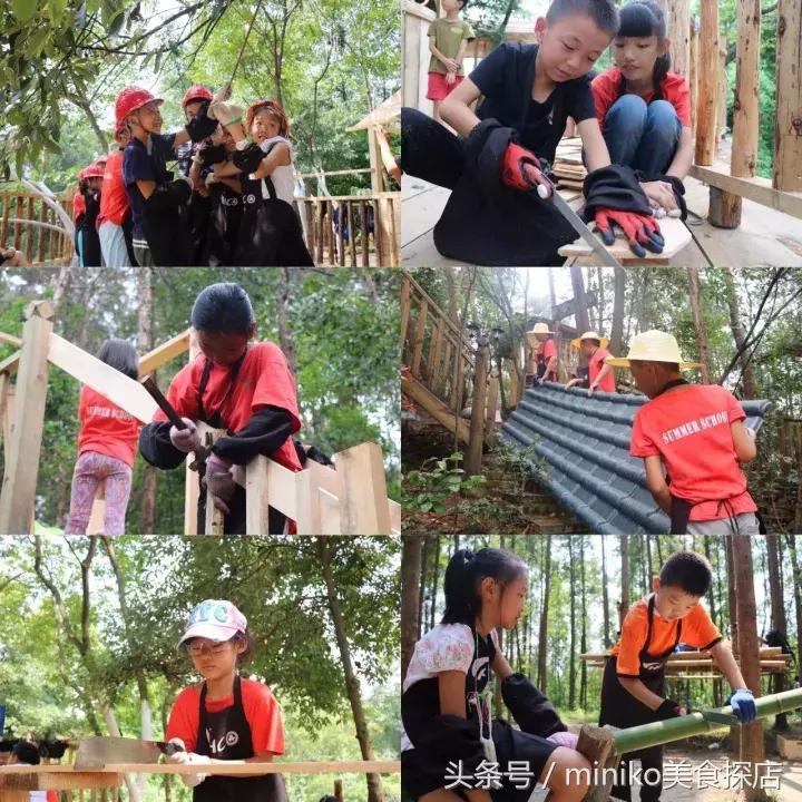 成都周边农场推荐,成都周边最有特点的农场