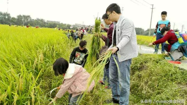 成都周边农场推荐,成都周边最有特点的农场