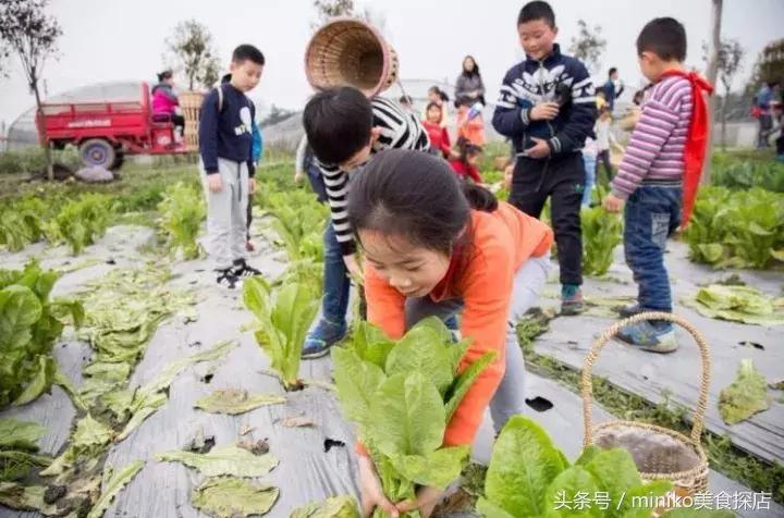 成都周边农场推荐,成都周边最有特点的农场