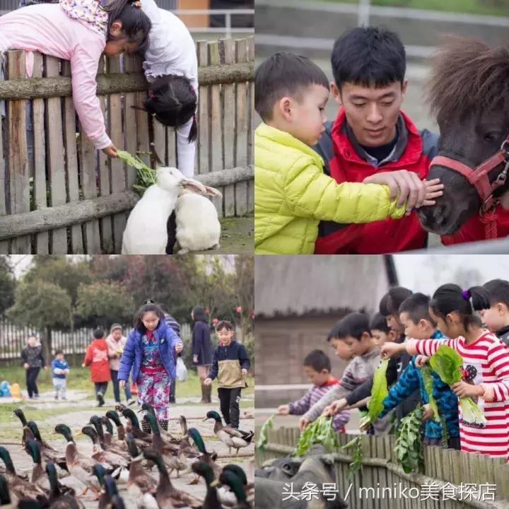 成都周边农场推荐,成都周边最有特点的农场