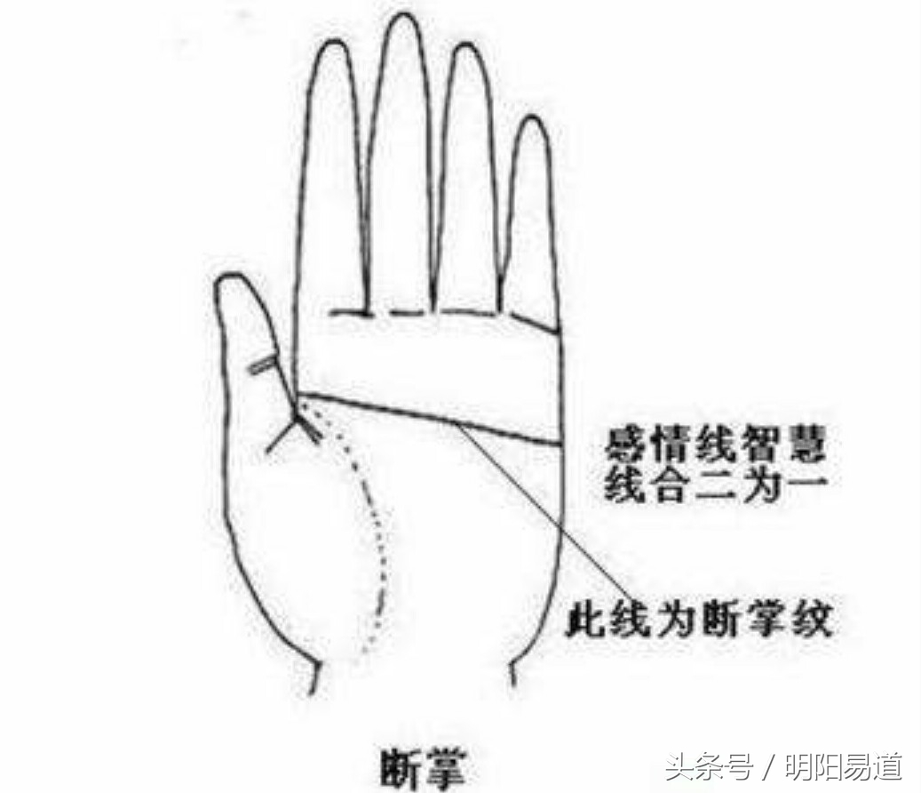 秒懂手相：从智慧线看智慧财富（四）