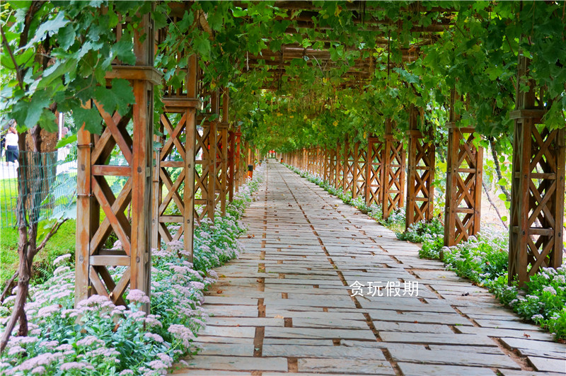 张裕爱斐堡国际酒庄广告视频,张裕爱斐堡酒庄最佳旅游时间