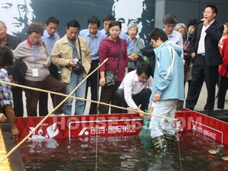常州螃蟹今日价格表最新,常州的螃蟹多少钱一个