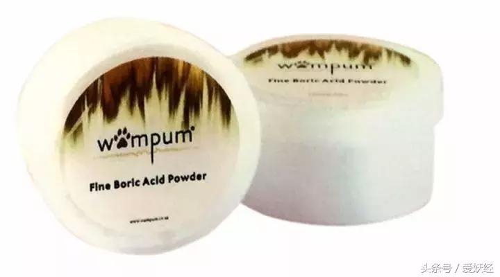 服侍主子洗了那么多次澡，我把毕生所悟都放在这篇攻略里了