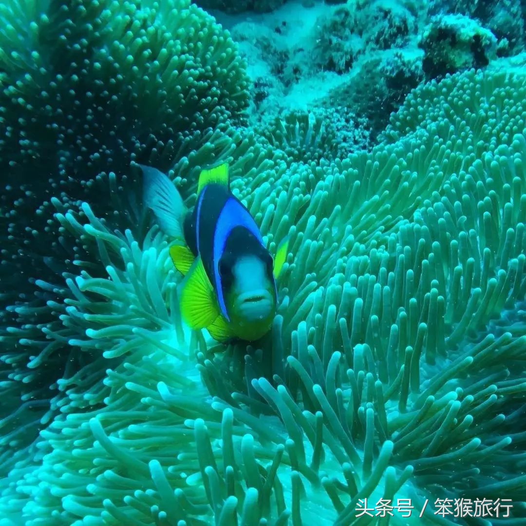 如何征战朋友圈？这个超洗眼睛的地方可落地签一周预算5K+