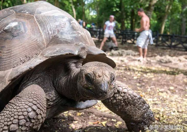 如何征战朋友圈？这个超洗眼睛的地方可落地签一周预算5K+