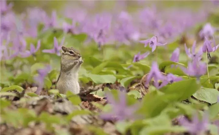 心灵鸡汤英文经典语录短句,英文毒鸡汤经典短句