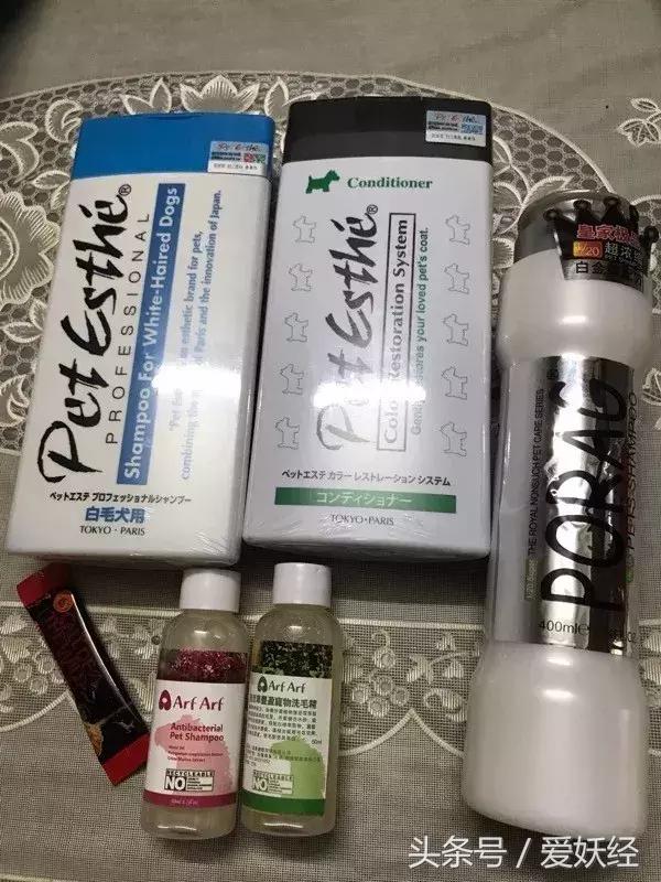 服侍主子洗了那么多次澡，我把毕生所悟都放在这篇攻略里了