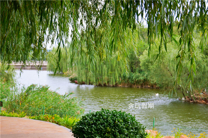 张裕爱斐堡国际酒庄广告视频,张裕爱斐堡酒庄最佳旅游时间