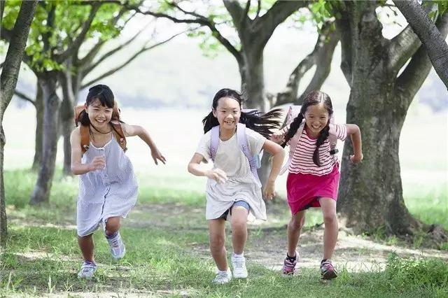 哈市入学条件,哈尔滨提前两年入学政策