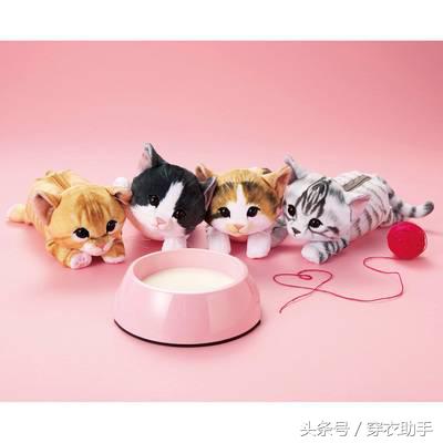 提升猫咪幸福感的东西,提升猫咪智商的玩具