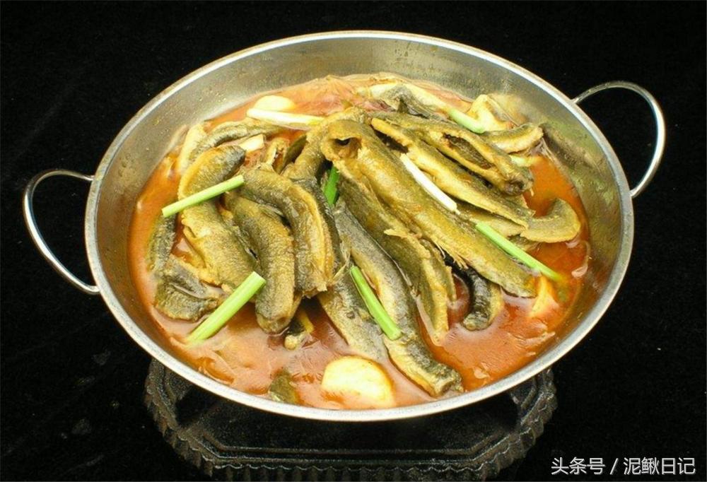 泥鳅青蛙养殖,稻田养泥鳅技术致富经