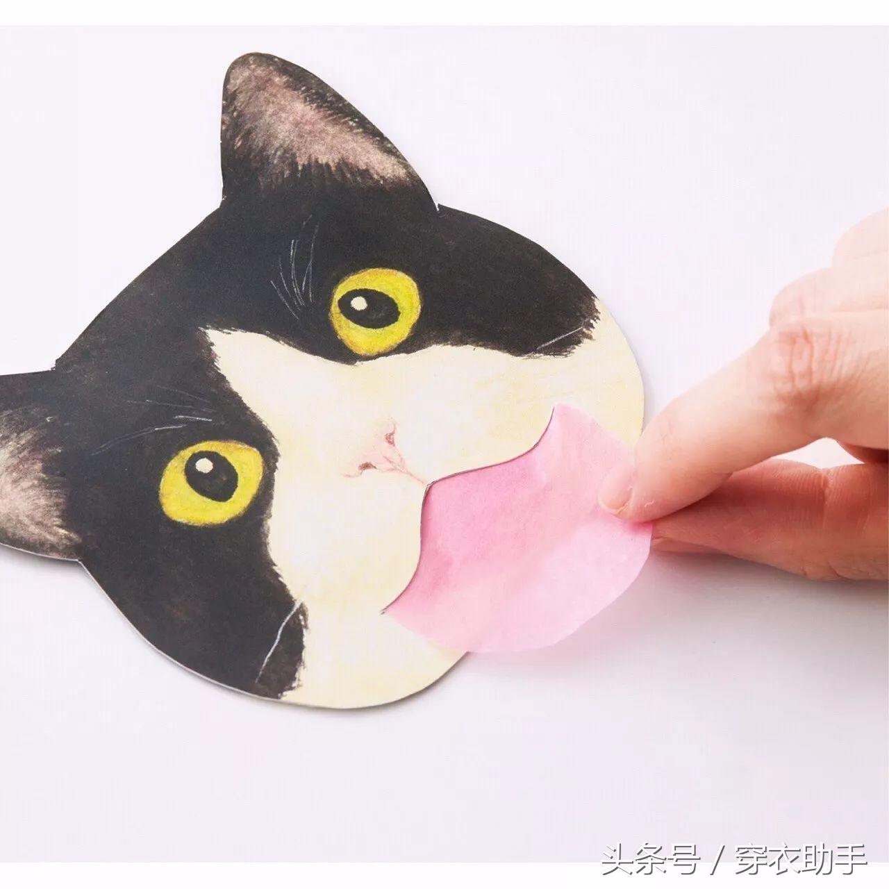 提升猫咪幸福感的东西,提升猫咪智商的玩具