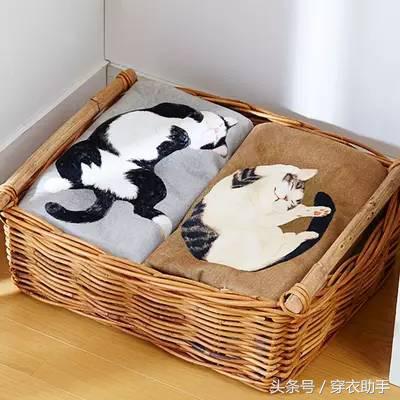 提升猫咪幸福感的东西,提升猫咪智商的玩具