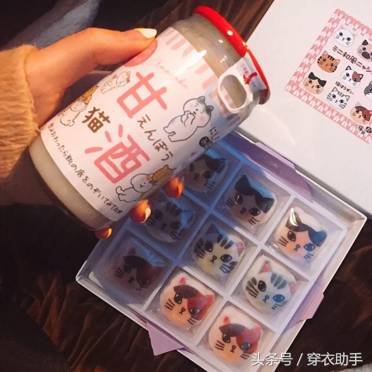 提升猫咪幸福感的东西,提升猫咪智商的玩具