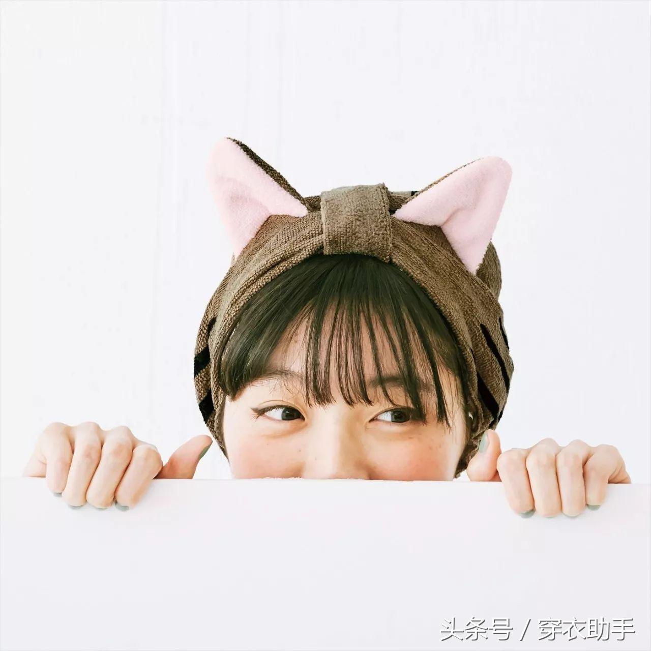 提升猫咪幸福感的东西,提升猫咪智商的玩具