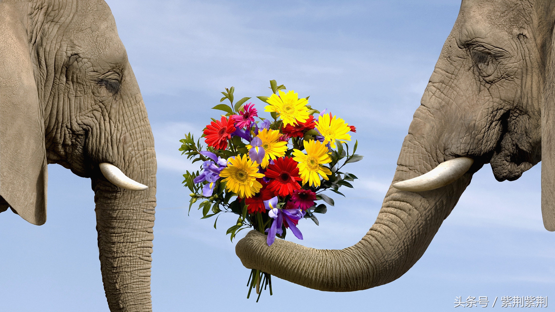 国庆节长假抢钱了？老司机教你境外旅游怎样省出一部iphoneX