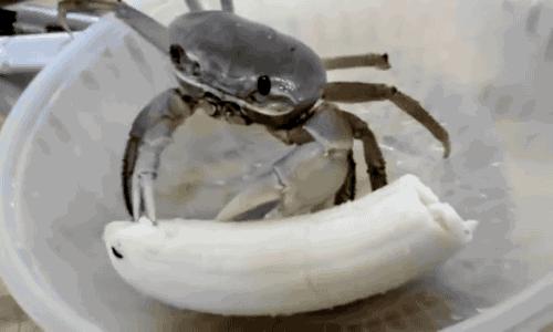 父母取的文艺名字,你爸妈给你取的最好听的名字