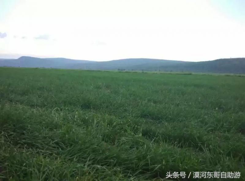 漠河景点大全漠河旅游包车攻略农家院旅游
