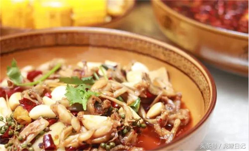 泥鳅青蛙养殖,稻田养泥鳅技术致富经