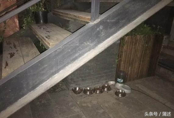 共享社区能让我的租房生活变得更好吗？｜不想出门