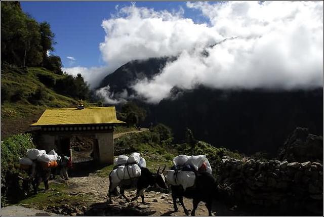 珠穆朗玛峰海拔相当于多少层楼,珠穆朗玛峰看日照金山海拔多少