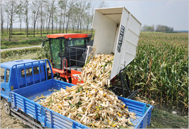 现在最好用的玉米联合收割机,最强的玉米收割机