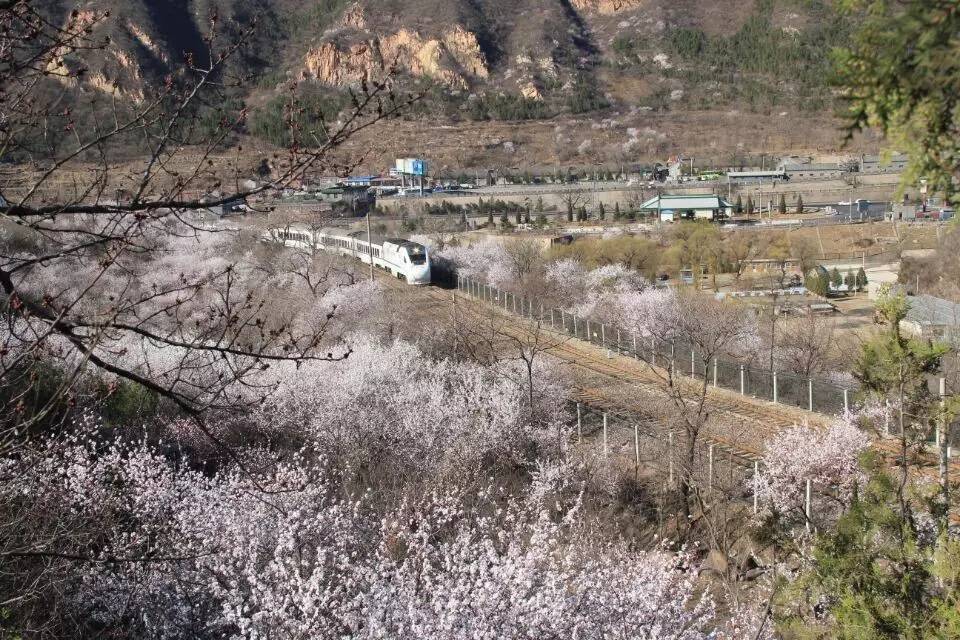 开往春天的列车，我们看图就行了