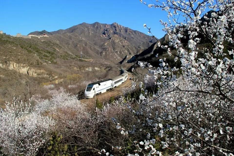 开往春天的列车，我们看图就行了