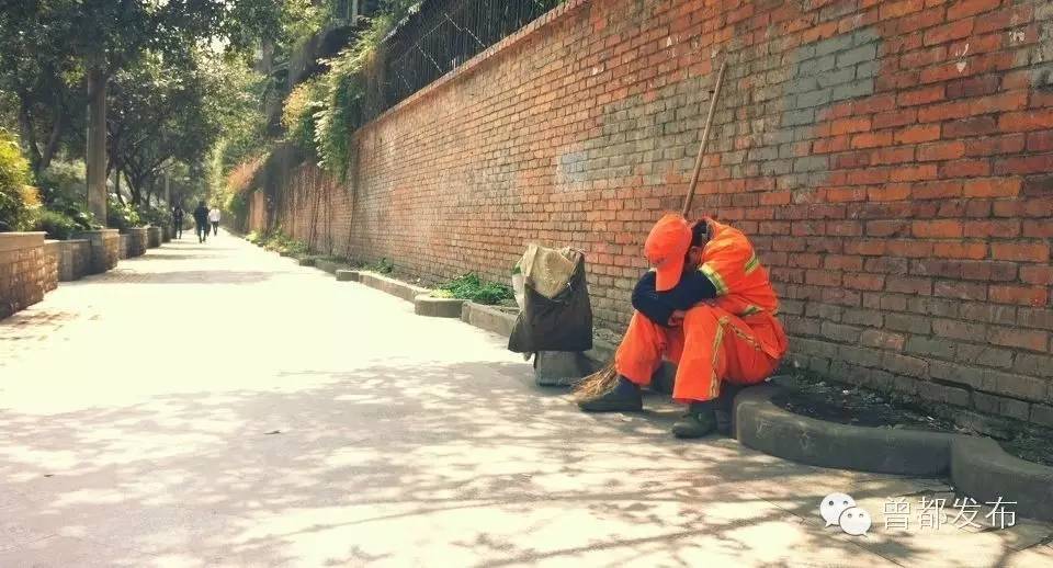 寒风中绽放的黄玫瑰，大写的赞！