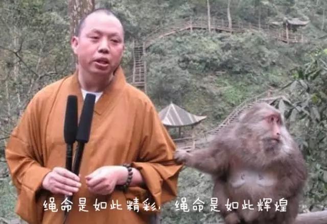 成都2000元的补贴怎么领 (成都补贴政策2000元怎么领)