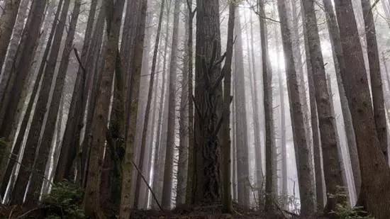 星球大战取景地打卡,探秘星球大战实景拍摄地