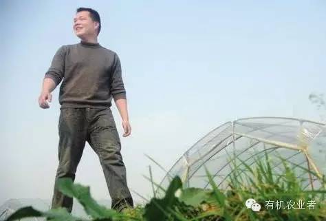 曾经结伴同行,曾经一起走过的路图片