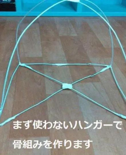 金毛到几个月才颜值巅峰,金毛颜值超高的品种有哪些