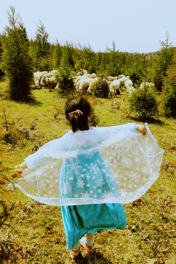 个旧老阴山玻璃栈道购票,个旧老阴山草场