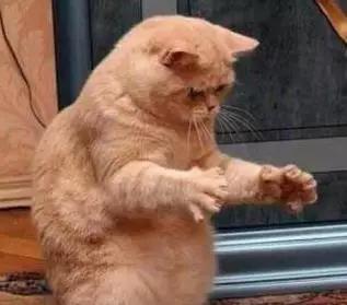 今天终于知道，阜阳的小名为什么叫“牛逼”了！