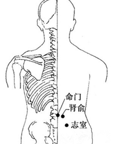 体悟汉字蕴含的智慧,感悟汉字之魂