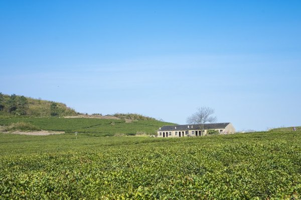 太湖舒畅之旅：乐享田园生活