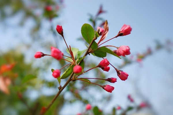 太湖舒畅之旅：乐享田园生活