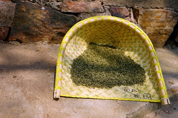 太湖舒畅之旅：乐享田园生活