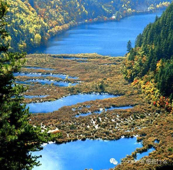 重庆到四川远吗,四川和重庆哪里远