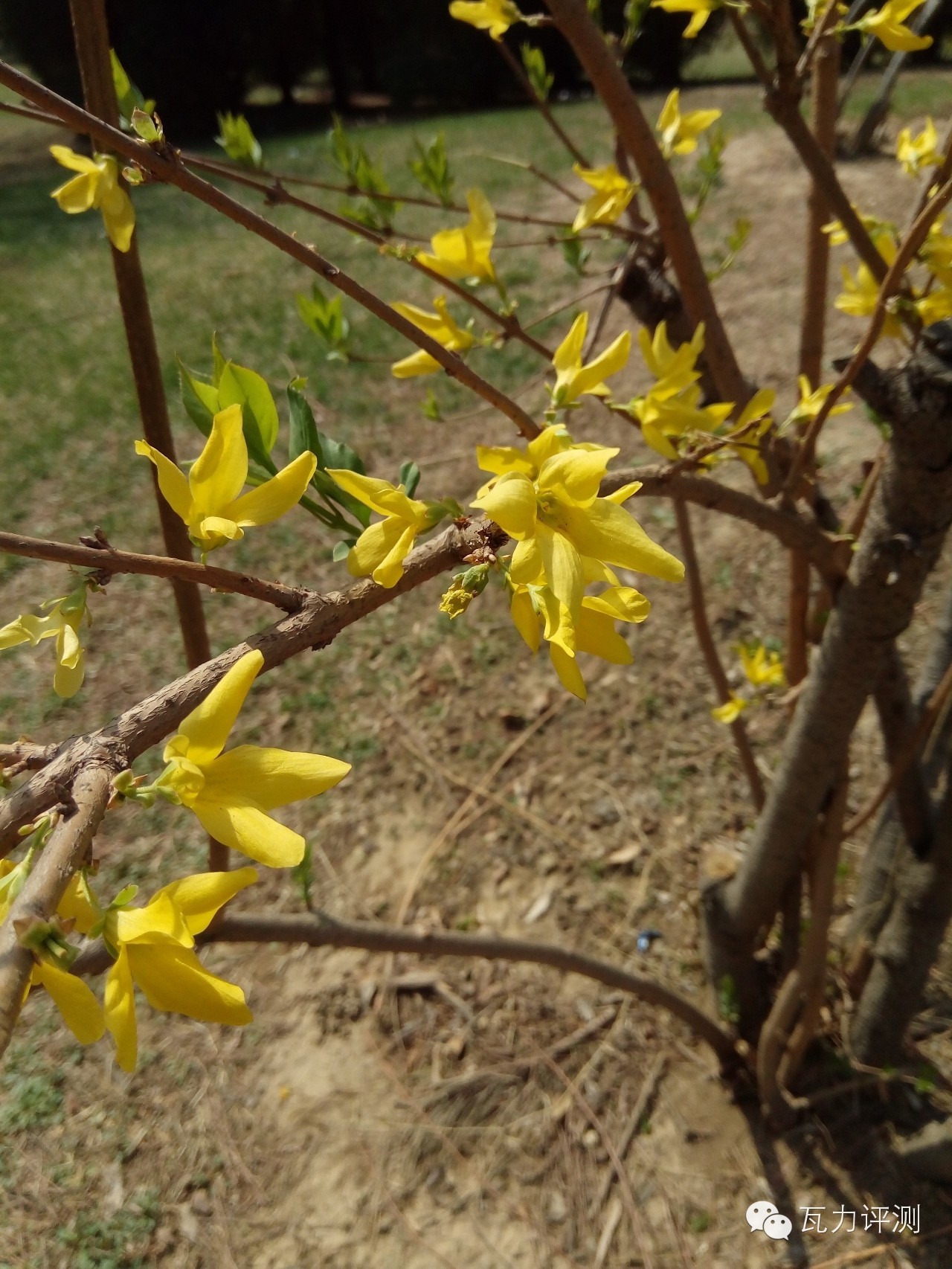 360f4手机最新评论,360f4手机的像素怎么样