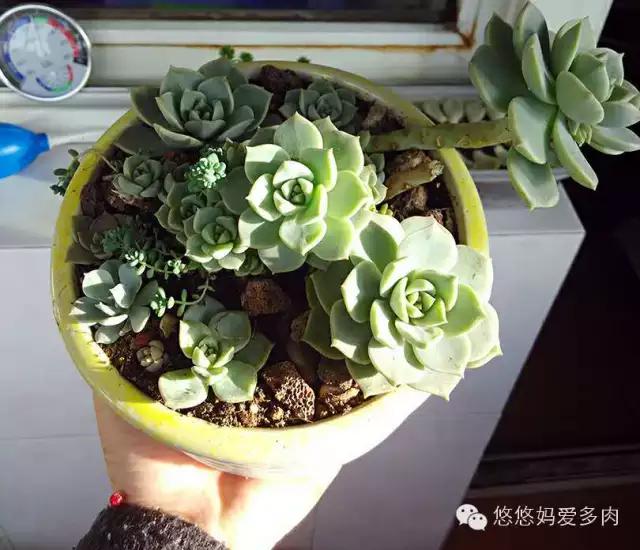 你们的名字有多土,你们的名字叫什么