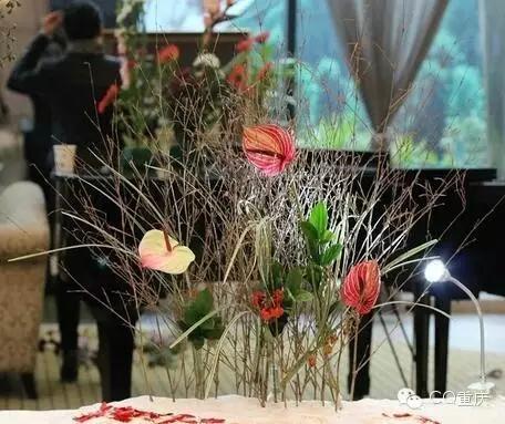 本周，请用这些来安慰重庆人的文艺心！