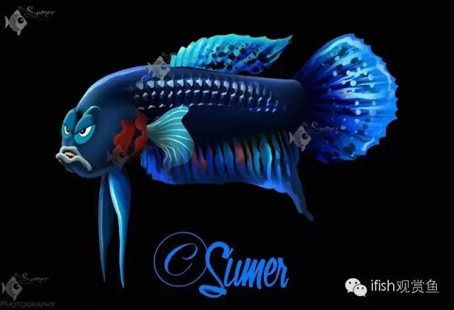 鱼超可爱卡通,鱼可爱卡通画