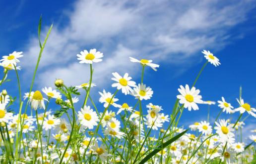 怎样才能有效祛痘痘,祛痘坑最有效方法