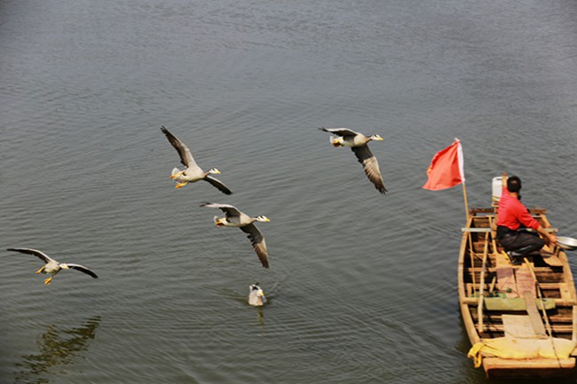南宁适合夏天去的农家乐,南宁三塘农家乐排名前十名