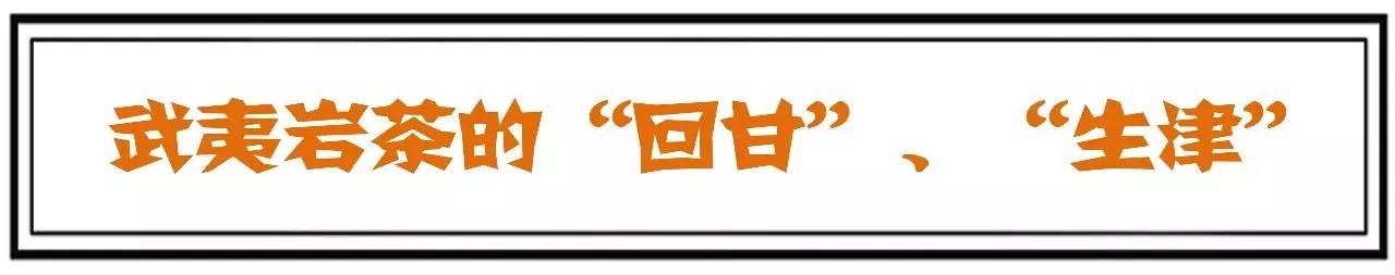 武夷岩茶回甘茶,武夷岩茶肉桂回甘