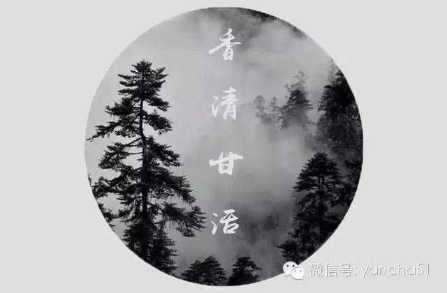 武夷岩茶回甘茶,武夷岩茶肉桂回甘