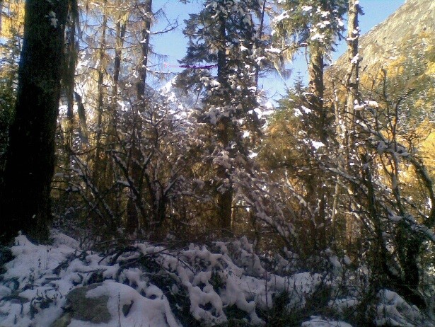电子取证-缺陷硬盘图片文件恢复提取技术研究